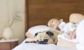 Чи компенсує сон на вихідних недосипання протягом тижня